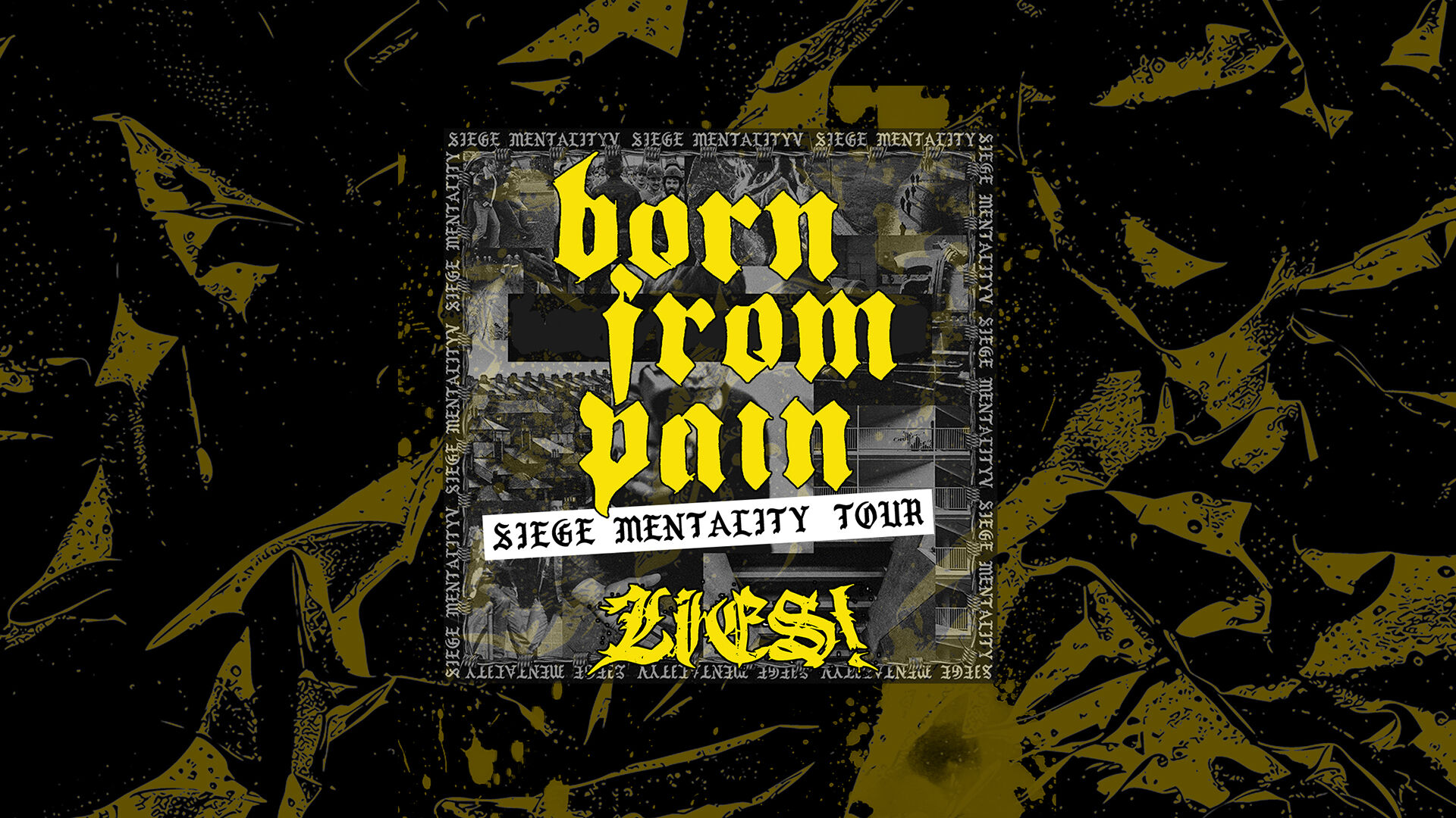 Born From Pain + Lies!