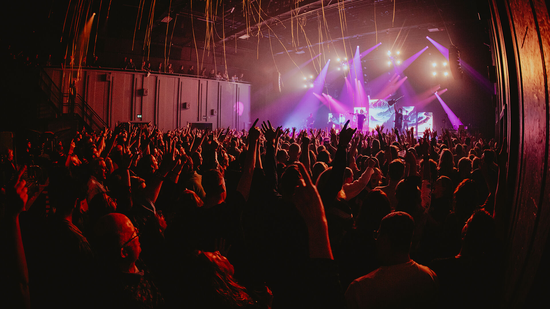 Daredevils - Zing Nederlands met Me