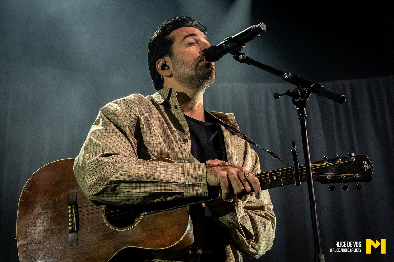Dotan_05