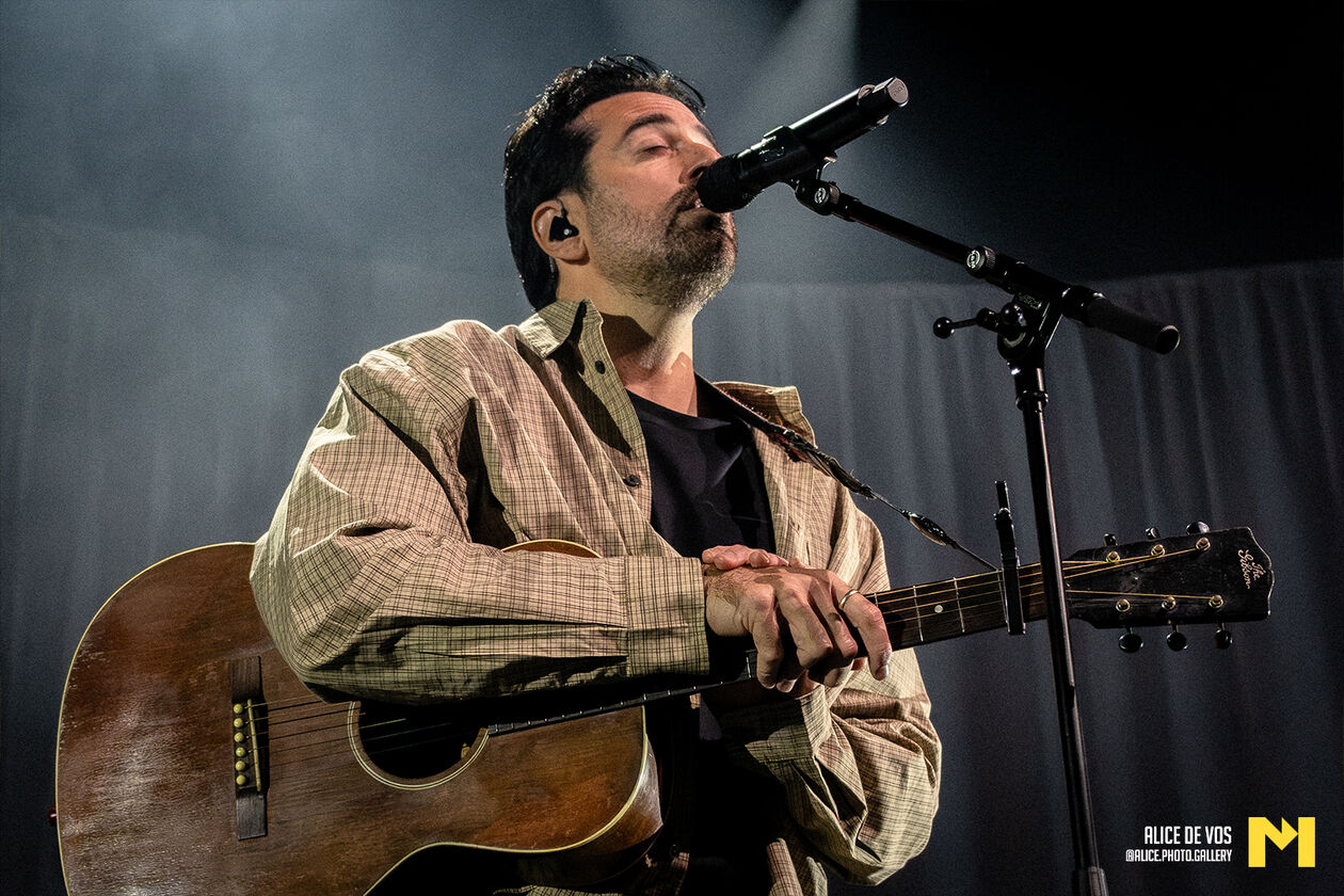 Dotan_05
