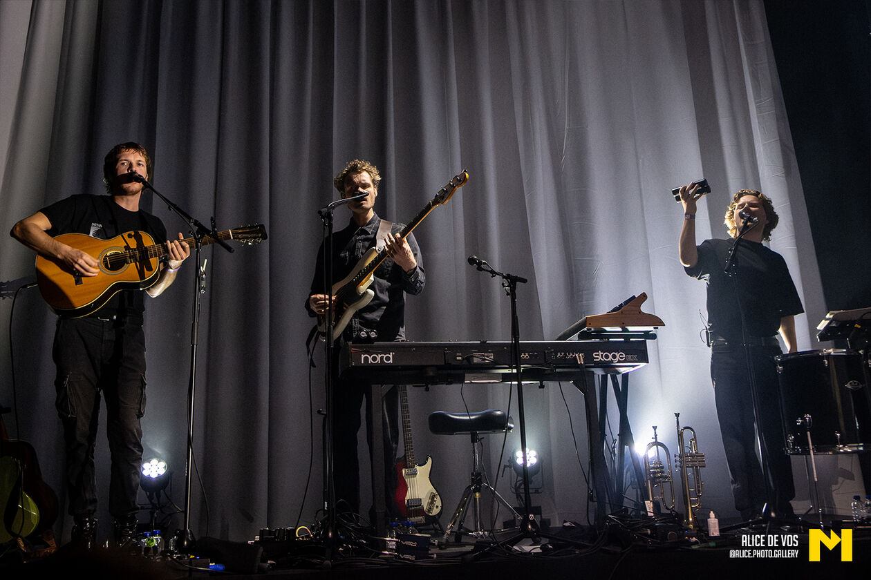 Dotan_08