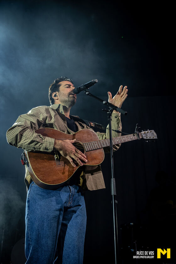 Dotan_12