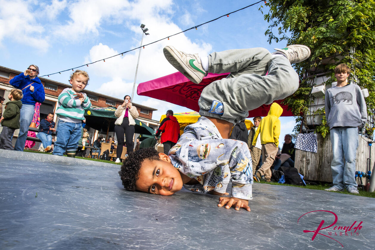 Hart Van Zuid Festival