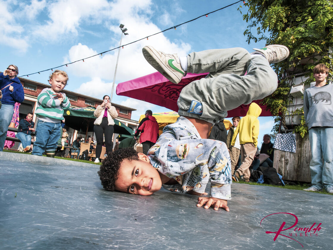 Hart Van Zuid Festival