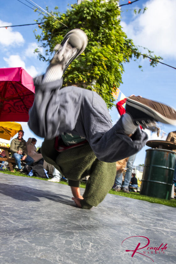 Laan Van Zuid Oogst LR-50