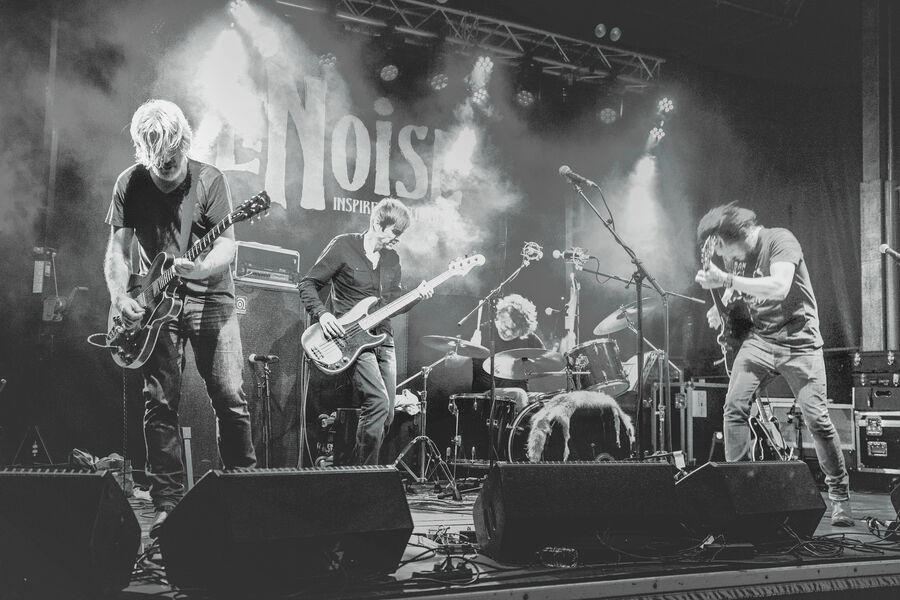 LeNoise - A Tribute to Neil Young