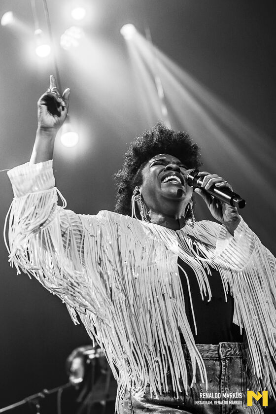 LR mtp Gare du Nord-211