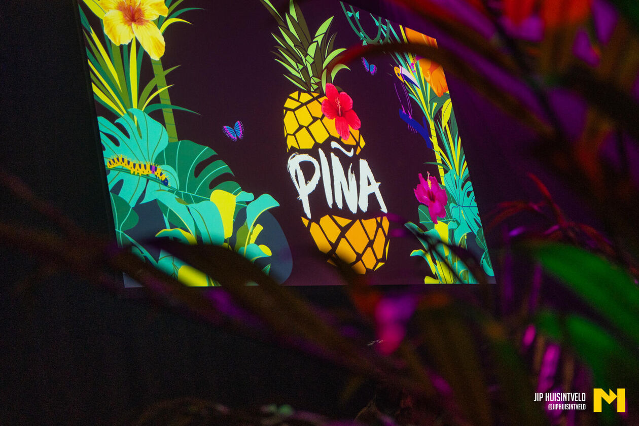 Piña-5