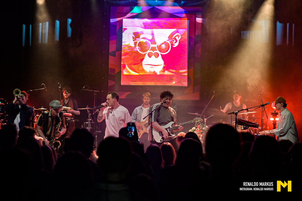 Primaat - Album Release