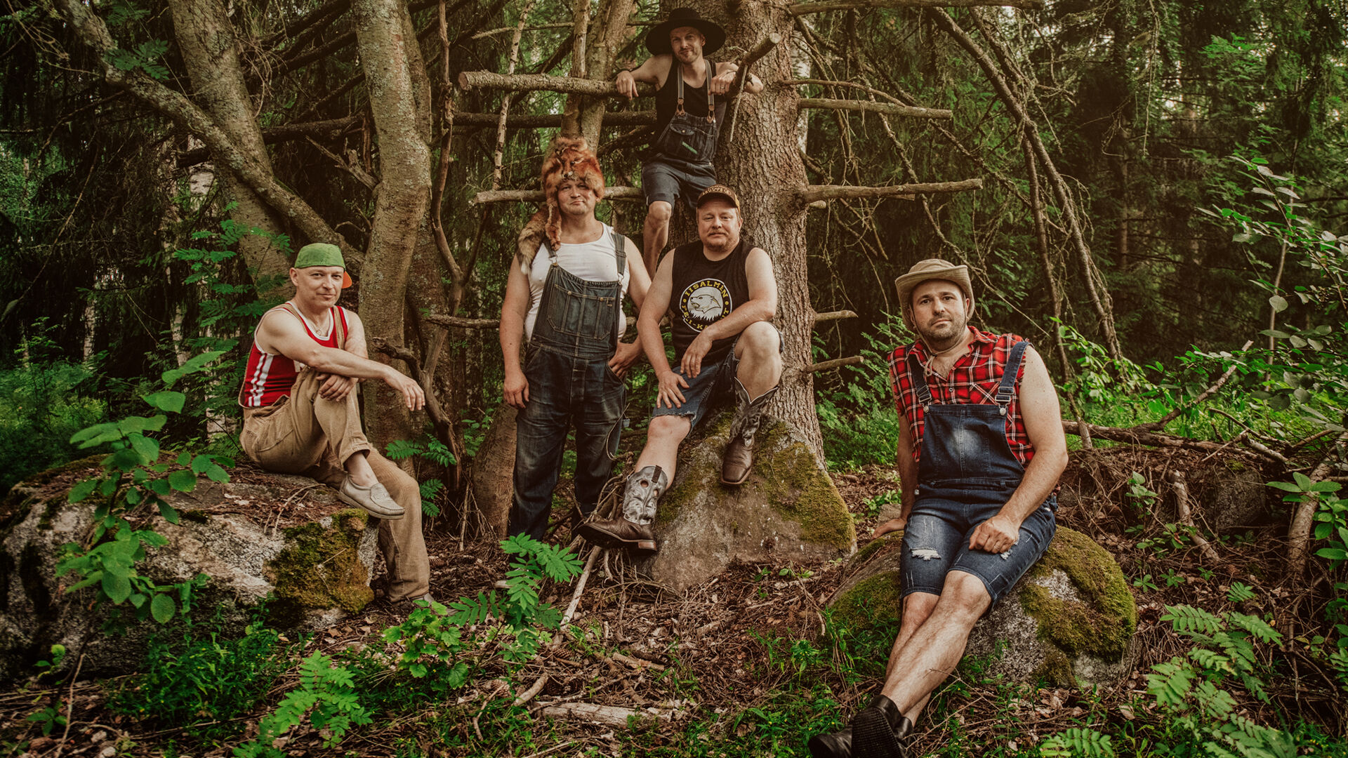 Steve &#x27;n&#x27; Seagulls