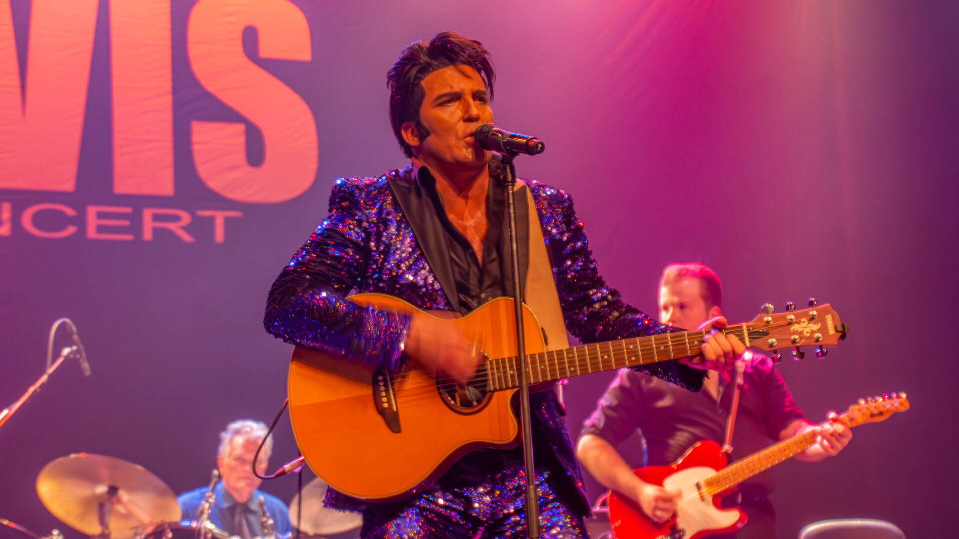The Elvis Concert