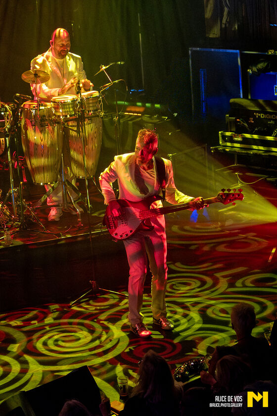 The_Chicago_Funk_12