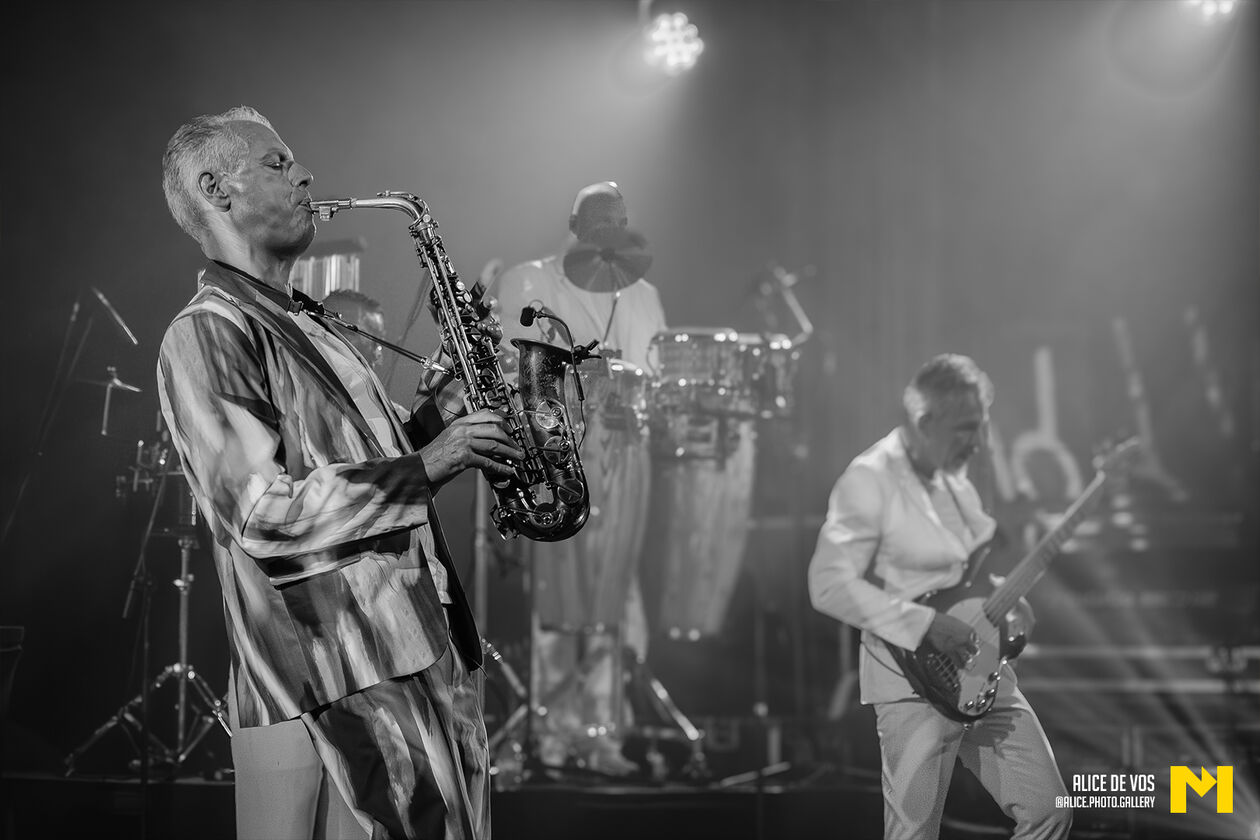 The_Chicago_Funk_24