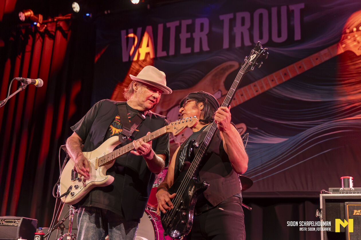 Walter Trout