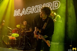 Blackbird - 02/03/2024 